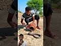 PAMAN PAWANG ULAR MASUKIN ULAR KEDALAM KENDI‼️😱😍