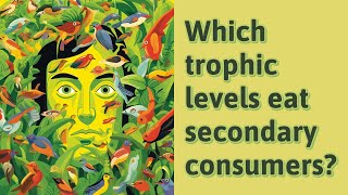 Which trophic levels eat secondary consumers?