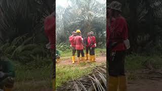 Download Lagu bang banting Adek bang 😂 MP3