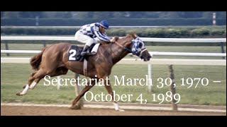 My Reaction To |IThe great horse, Secretariat|