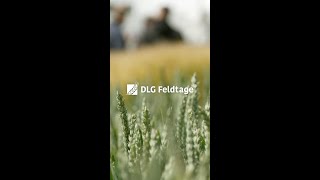 Jetzt Ticket sichern & live dabei sein: DLG-Feldtage 2026 – Das Festival des Pflanzenbaus #shorts