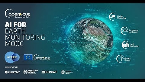 AI for Earth Monitoring MOOC - Feedback Session #2 with Mark Higgins