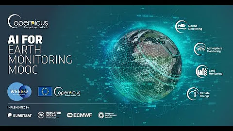 AI for Earth Monitoring MOOC - Feedback Session #2...