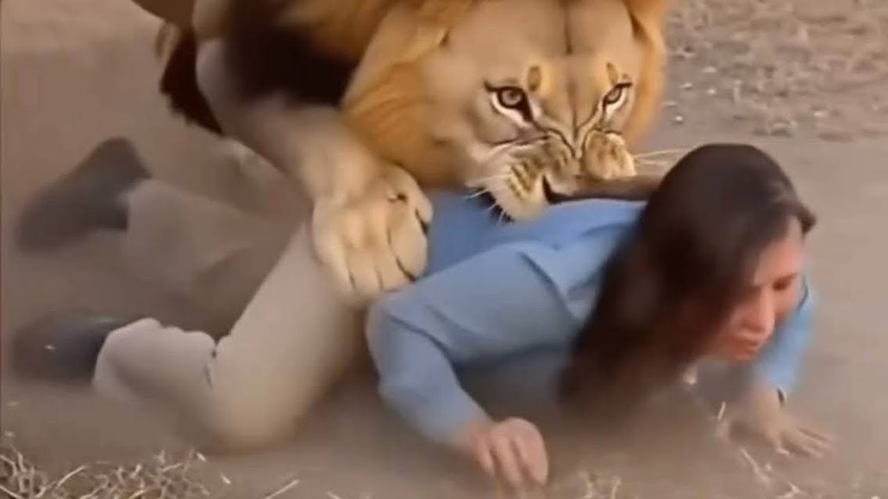 Опасности острова Мадагаскар 🇲🇬