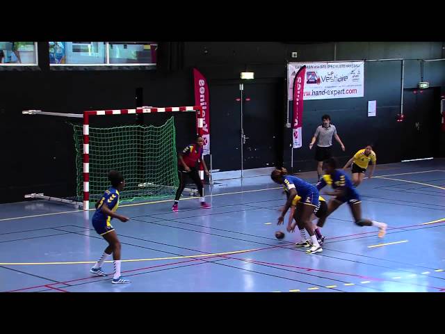 Sport : coupe des Yvelines de handball à Guyancourt