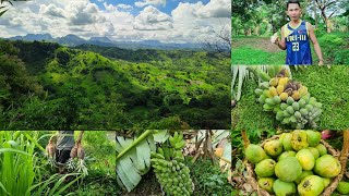 NAGAWI AKO SA FARM PERO NINAKAW NA 😔🌿