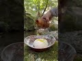 Delicious food