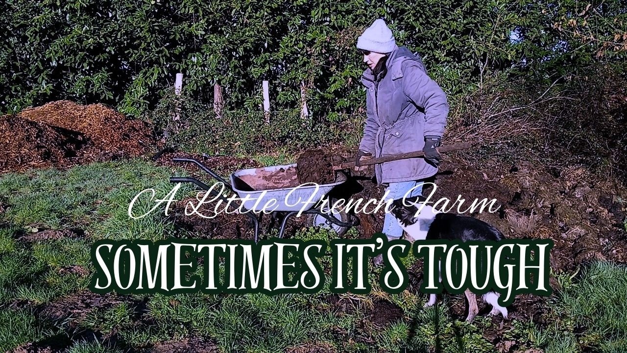 The UNglamourous Side of Homesteading