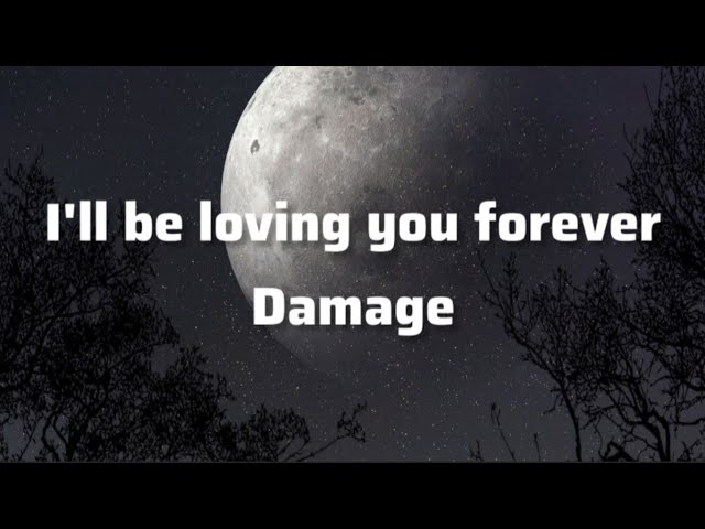 Damage- Forever(lyrics). class=