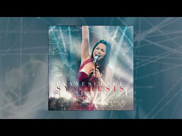 Evanescence - End of the Dream (Live) class=