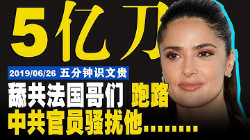 EP−220 |  亲共法国家族一年5~6亿不挣了，全家族投票撤离香港；一个消息价值一个亿。【5分钟识文贵−2019/6/26】 注：原视频更精彩