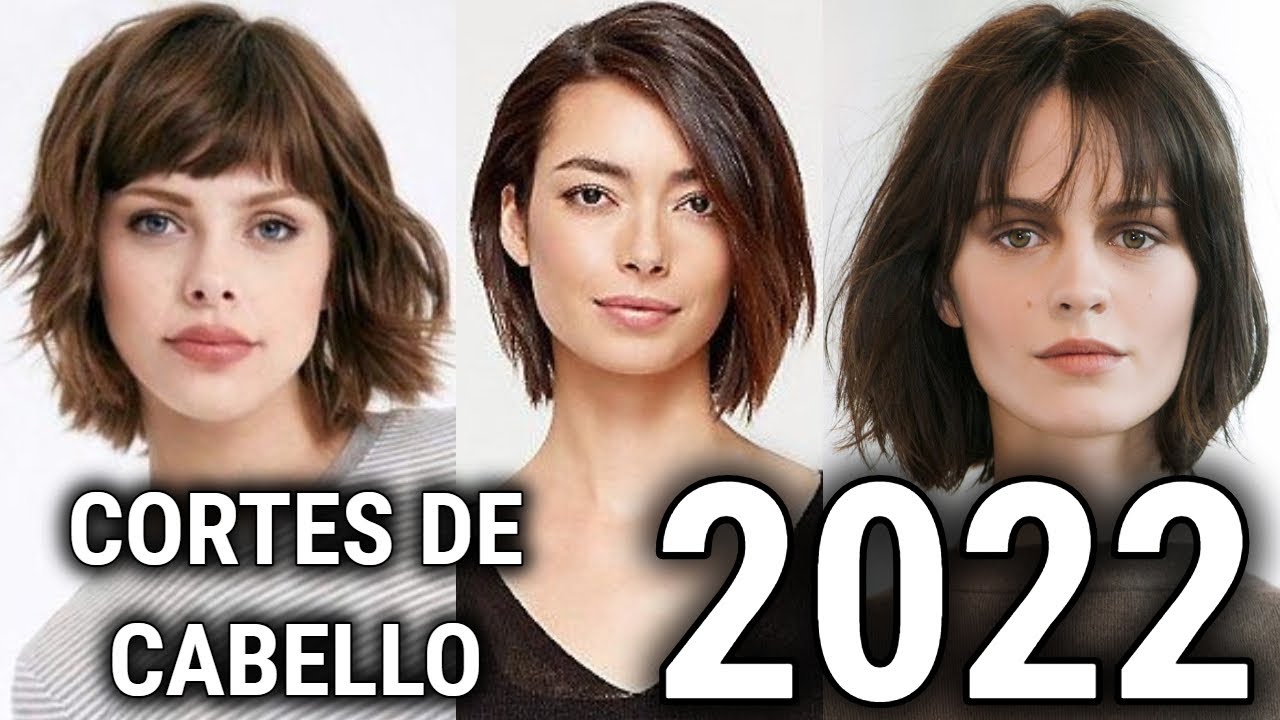 CORTES DE PELO BONITOS Y ELEGANTES DE MODA 2022/ CORTES DE CABELLO  SENCILLOS MODERNOS CORTES DE PELO - YouTube