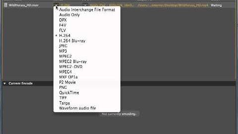 Lights, Camera, Action, and InDesign!