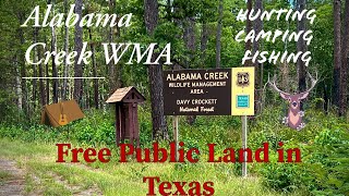 Alabama Creek Wildlife Management Area | Davy Crockett National Forest | Texas Free Public Land