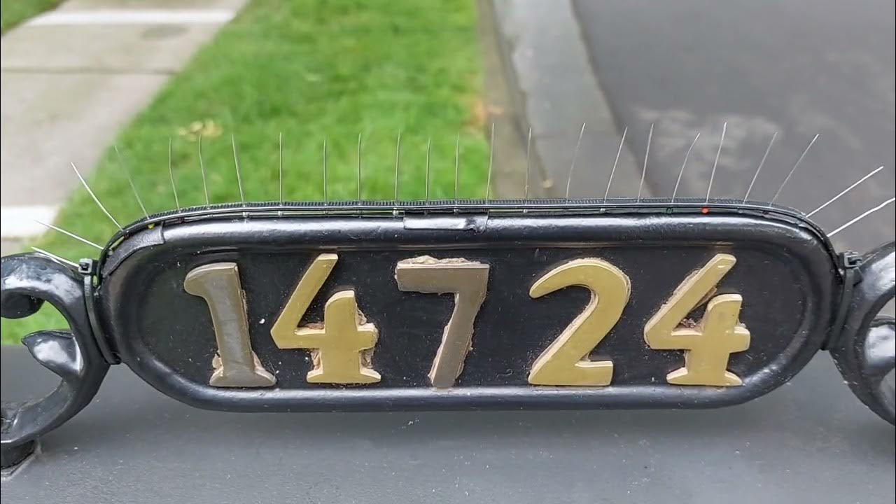DYI Mailbox Bird Spike Solution YouTube