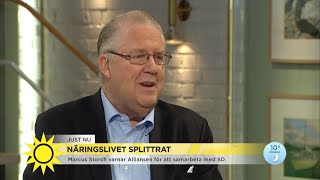 Näringslivsnestorn: ”Sverigedemokraterna är inte, som slutet på namnet säger, d - Nyhetsmorgon (TV4)