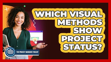 Which Visual Methods Show Project Status?