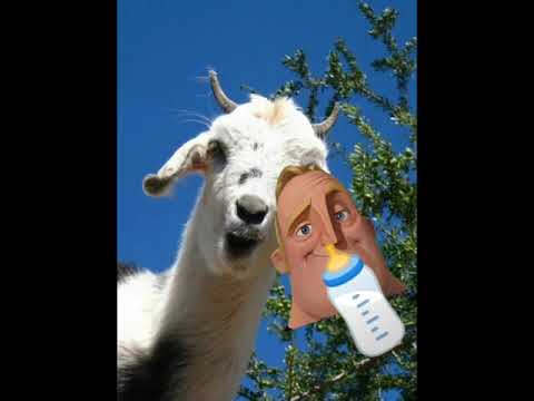 Mr Incredible Baby Goat Drink Milk @PlayTheoiiJSTOT2008HDSheldon
