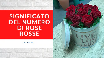 Cosa significano 2 rose rosse?