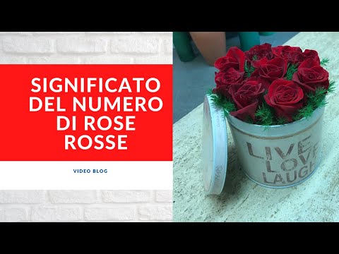 Significato del numero dato alle rose rosse