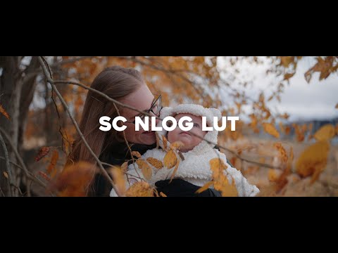 Nikon Nlog To Rec709 Conversion | Sc Luts