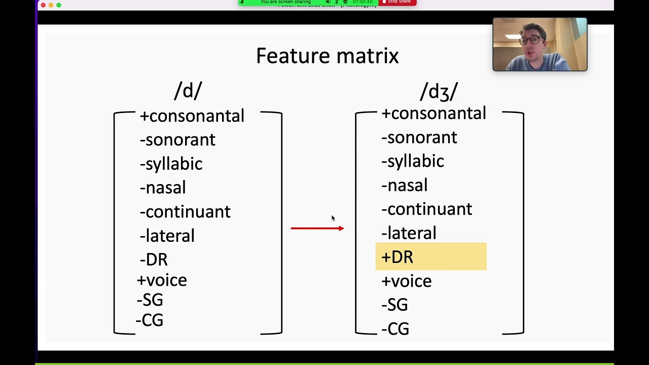Phonological (Distinctive) Features