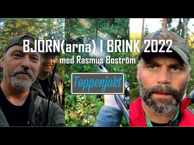 Björnjakt 2022, revanschen i Brink! class=