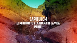 PEDEMONTE 4. El Pedemonte y la trama de la vida. ...
