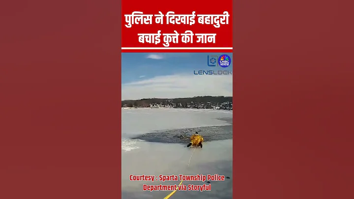 पुलिस ने दिखाई बहादुरी, बचाई कुत्ते की जान#Viral #ViralVideo #Police #Lake #NewJersey #Dog #Humanity