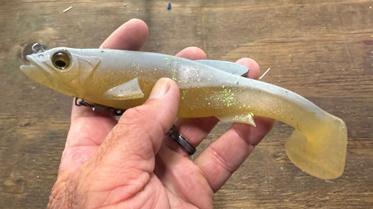 The Trick To Catching Bass On Bigger Swimbaits In The Fall…