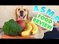 ASMR Dog Reviewing Different Kinds of Food #1 | CUTE GOLDEN RETRIEVER