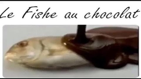 (Run 3) The Way Back any% in 5:09 (obsolete)