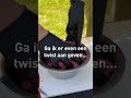 Zo maak je campingvrienden! 🍔🌳