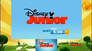 Bluuey Promo ECP during Mickey Mornings