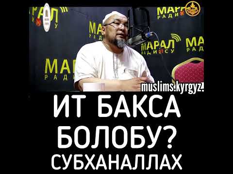 Video: Иттерди кучакташ керекпи?