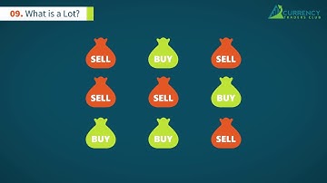 What is a Lot in Forex   FXTM Learn Forex in 60 Seconds