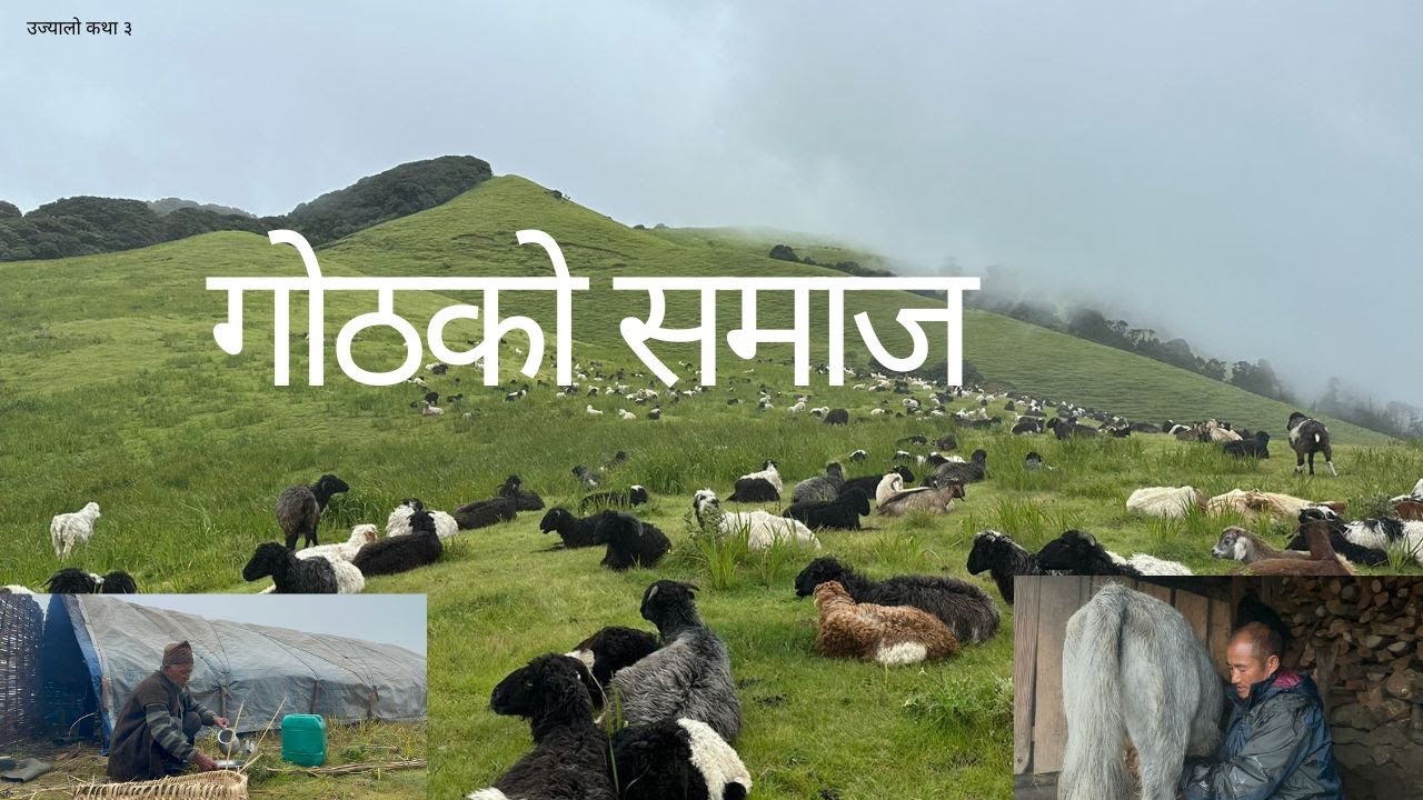 MUNDUM Trail, Maiyung,mudum Goth stay गोठालो समाज, प्रकृति संगै रमाइरहेकाहरुको कथा