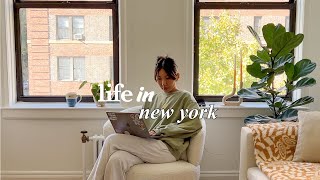LIFE IN NYC | cozy holiday season, apt update, brand launch day, cooking favorite meal