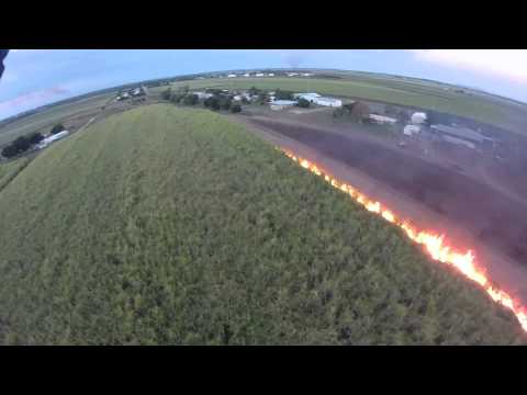 Video: Hvorfor brenner de sukkerrørfelt?