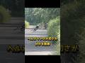 ロードバイクの事故シーン
