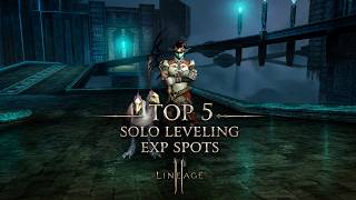 TOP 5 SOLO EXP SPOTS (Lv 40-50) | Fast Leveling Guide | Lineage 2
