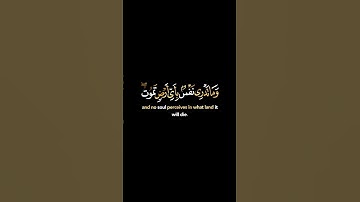 كروما قرأن شاشة سوداء، كروما قرأن كريم, سورة لقمان، إسلام صبحي، qu.s2_m24