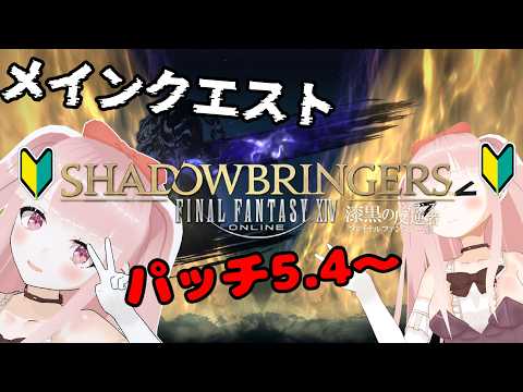 【#FF14】初見で漆黒のヴィランズメインクエスト！！パッチ5.4～
