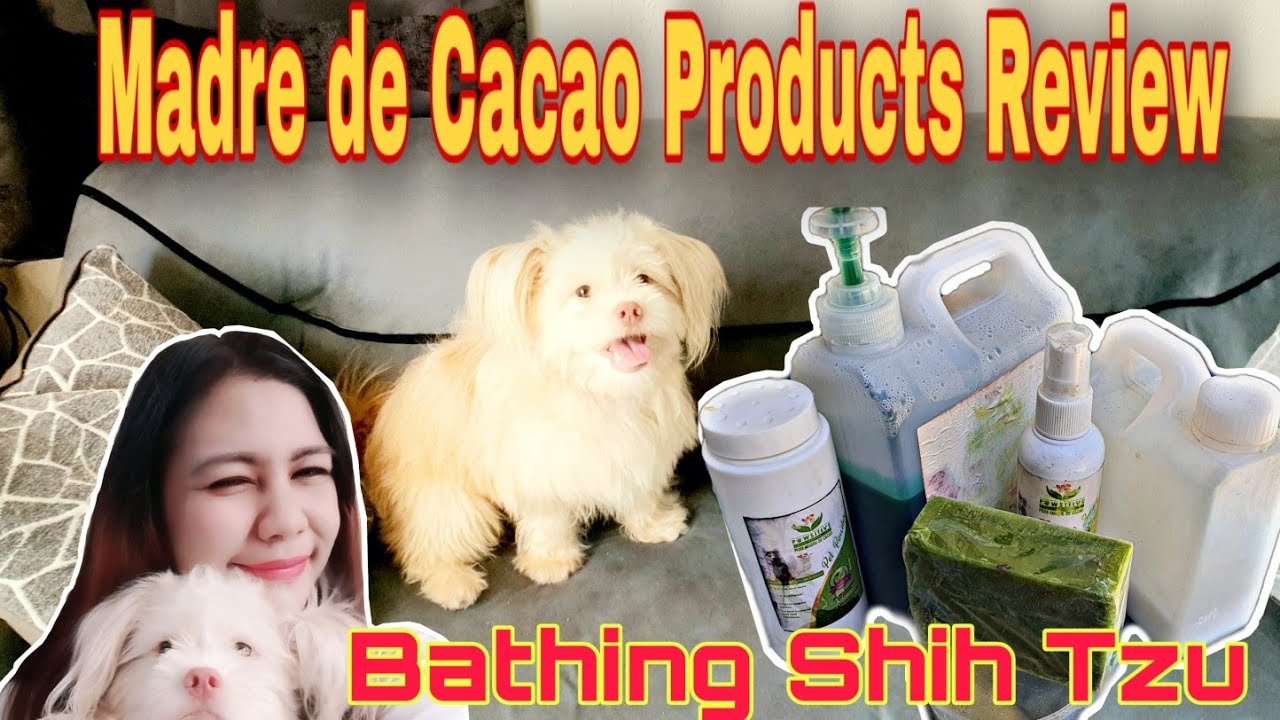 madre de cacao dog soap