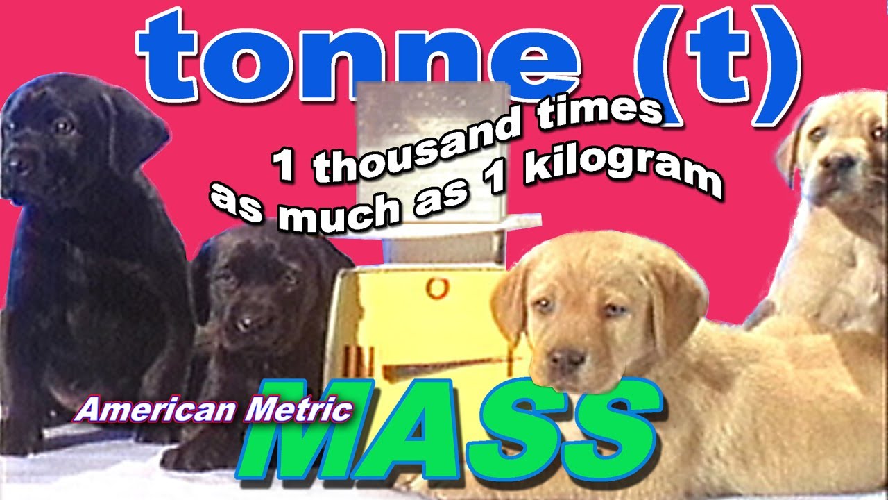 tonne (t) American Metric MASS 1 000 kilograms (kg)