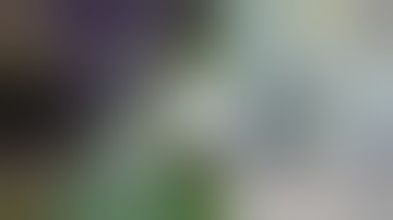 53 scan by almi tv vgcp