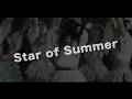 Star of summer