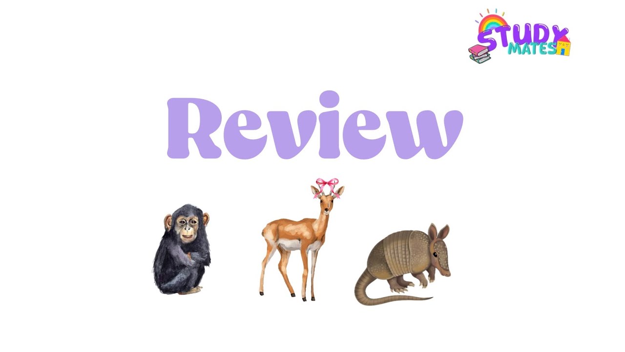 Avance diario ABCs - SELF TEST DAY Review week 1 