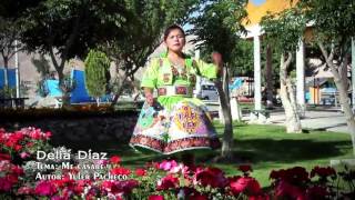 Video voorbeeld van "DELIA DIAZ -  ME CASARÉ primicia 2013 MEGA MIX SUREÑAS PRIMICIAS 2013"