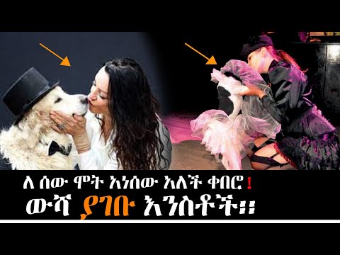 ቪዲዮ: የተጣመሩ የፊልበርት ዛፎች፡የተቀማጨ የሃዘል ዛፍን ለመንከባከብ ጠቃሚ ምክሮች